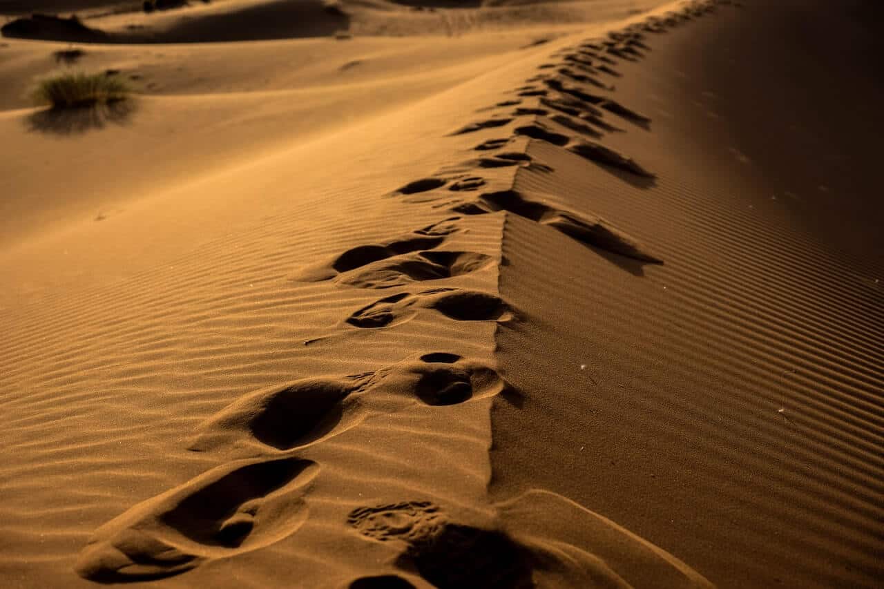 publicly traceable smart contracts represented by footprints in the sand