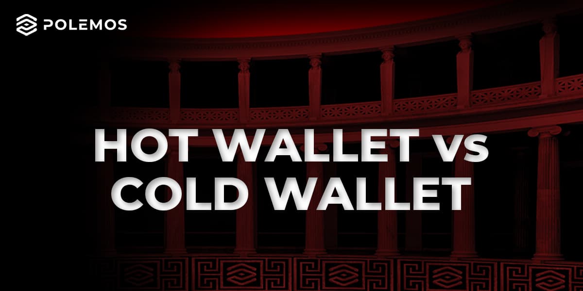 Polemos Hot Wallet vs Cold Wallet