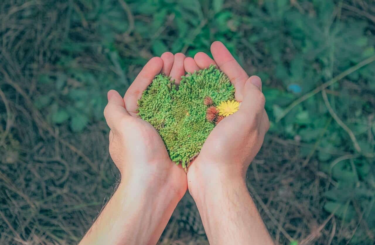 environment picture with two hands holding grain